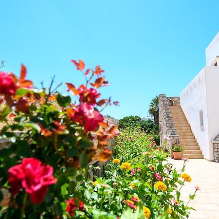 Villa Andromeda أمورجوس المظهر الخارجي الصورة